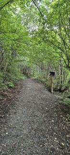 Fotografia z Bini 1190 na trase