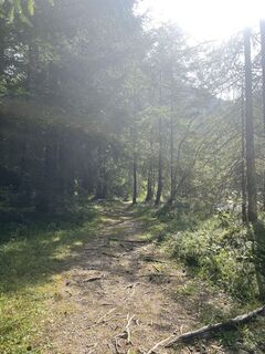 Foto von Christiane Papp entlang der Tour