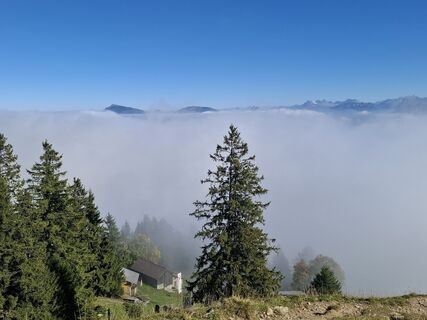 Fotografie de la Maurer Silvia de-a lungul turului