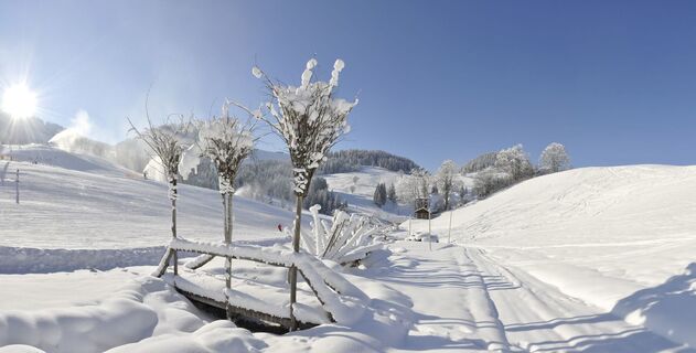 Söll_Winterwanderweg Hexenwasser_Wilder Kaiser