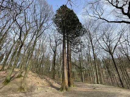 Foto von Les aventures de Ghislain entlang der Tour