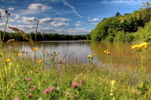 Michelbachsee | Zaberfeld | HeilbronnerLand