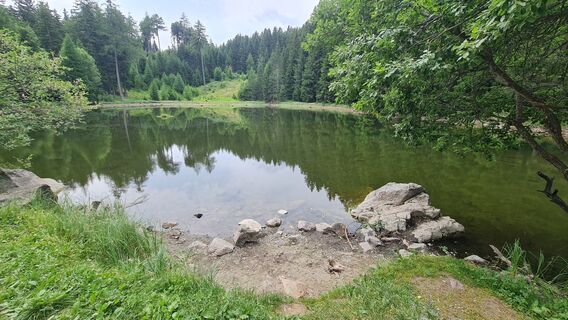 Foto von Vincenzo Terzulli entlang der Tour