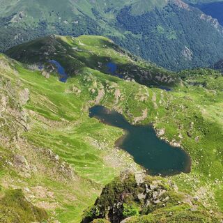 Tauchblick auf den Teich