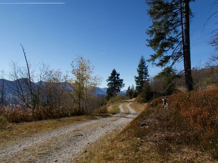 Weg nach Wasserscheide - Gantrisch Bike-Panoramaweg