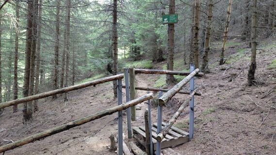 Photo de Wolfgang Arlic 1 le long du parcours