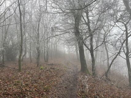 Fotografija s spletne strani Bacskai János na poti