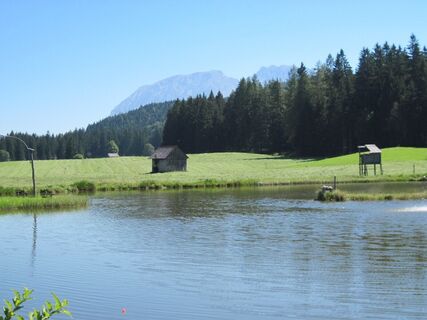 Sonniger Blick auf den Grimming