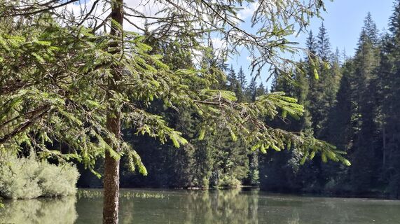 Fotografia z Erika Hermann na trase