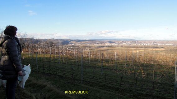 KREMSBLICK