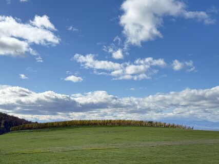Foto von Ilona Schuster entlang der Tour