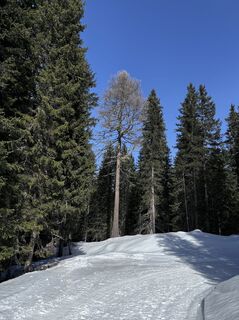 Fotografija s spletne strani Gábor Steffer na poti