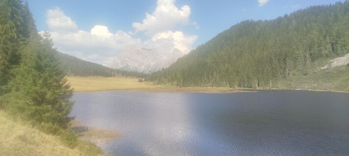 Fotografija s spletne strani Michele Vianello na poti