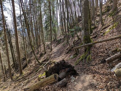 Foto von Hiking Hermit entlang der Tour
