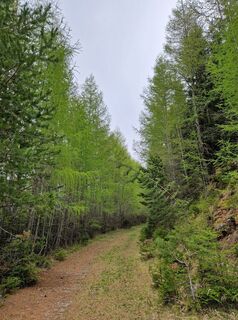 Fotografie de la Anne-Fleur Guitton de-a lungul turului
