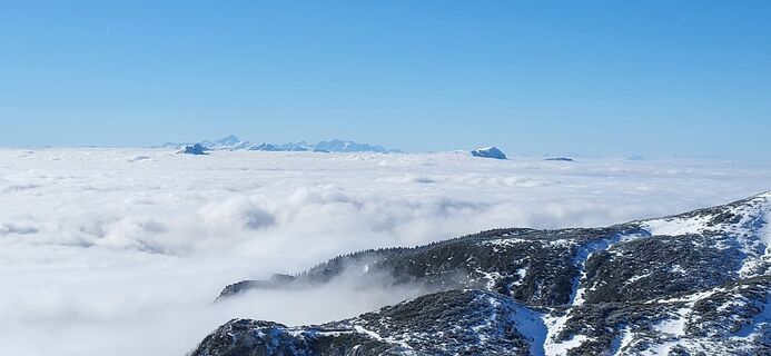 Fotografia z Igor napast na trase