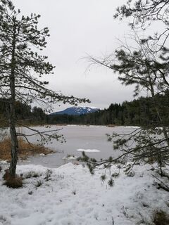 Fotografia z Dagmar Hofer na trase