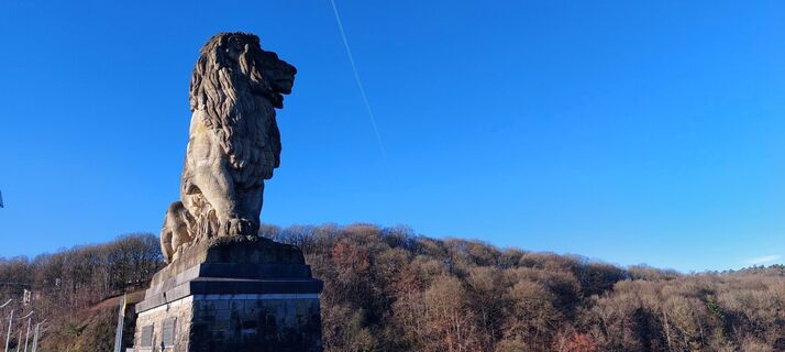 Fotografia z Joep Cluitmans na trase