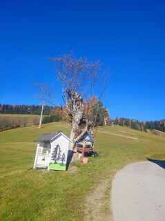 Foto von v.stein entlang der Tour