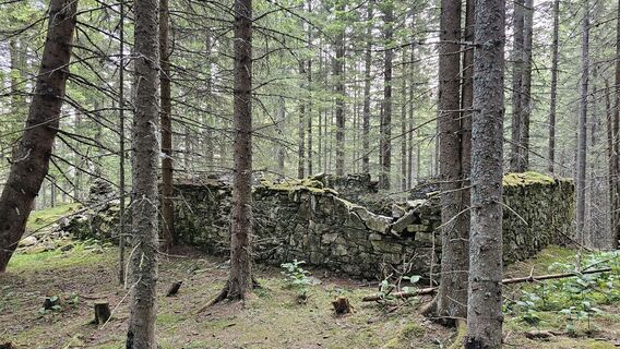 Foto von Gerhard Wilding entlang der Tour