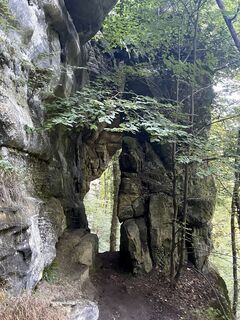 Foto von Gloop entlang der Tour