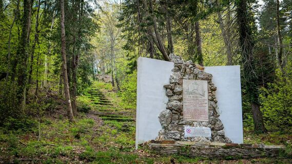 Wald der kämpfenden Schriftsteller (2)