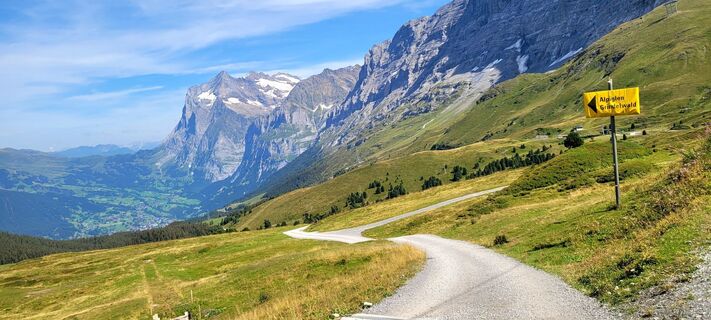 Foto von Pie entlang der Tour