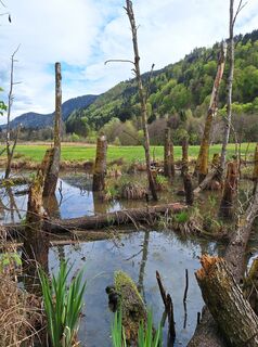Fotografie de la Dagmar Hofer de-a lungul turului