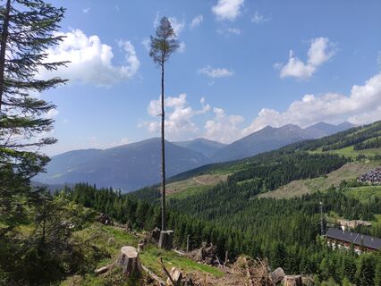 Zdjęcie z Christian Haßmann wzdłuż trasy
