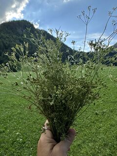 Foto von Iwona Sakowicz entlang der Tour