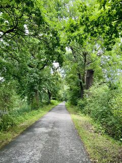 Foto från Václav Stejskal under resans gång