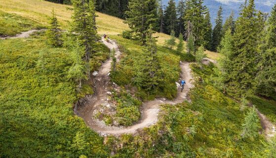 Gassl Trail