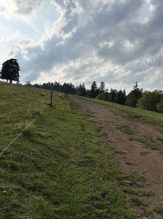 Kuva osoitteesta Reinhard Frewein matkan varrella