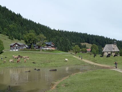 Foto da Matthias Zimmermann lungo il tour