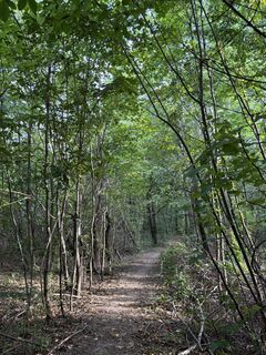 Foto fra Georgiamartin0815 underveis på turen
