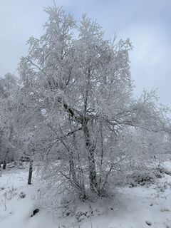 Fotografija s spletne strani Dominik na poti