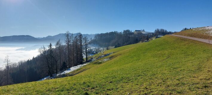 Foto von Willi60 entlang der Tour