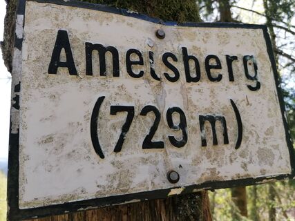 Foto von Wanderfux entlang der Tour