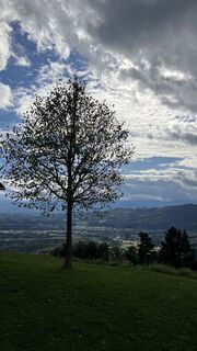 Foto von Albert Neuwirt entlang der Tour