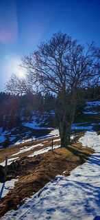 Foto von ReginaSt entlang der Tour