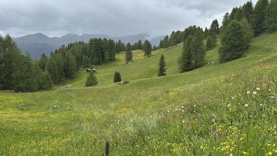 Foto von Knut Schwerter entlang der Tour