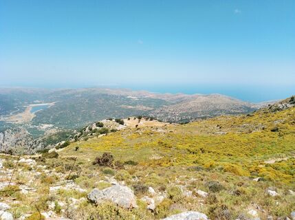 Photo de MopsBiene le long du parcours
