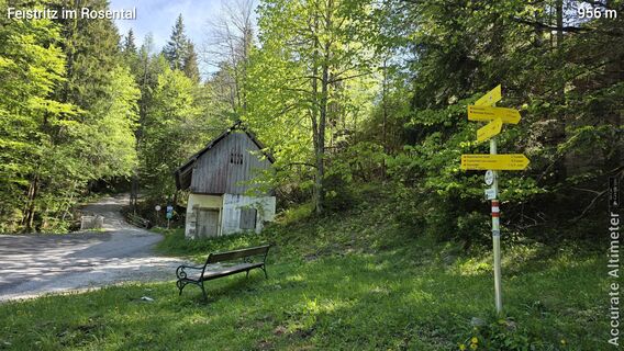 Fotografie z euterpe42 na trase