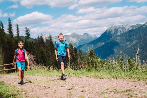 Der zerstreute Hirte