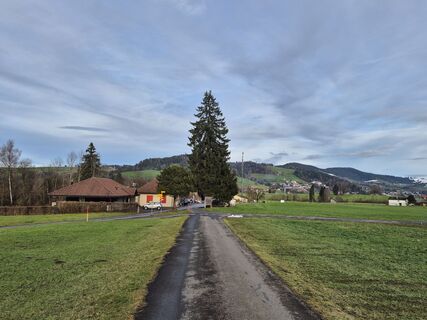 Photo de Markus Christen le long du parcours