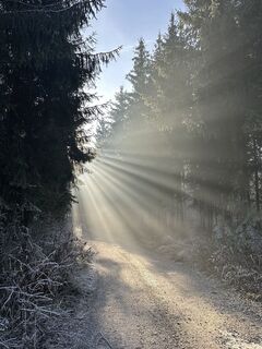 Zdjęcie z Babs Holz wzdłuż trasy