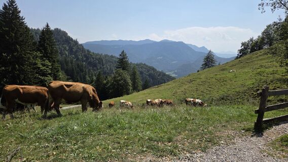 Photo de Gabriele Wagener le long du parcours