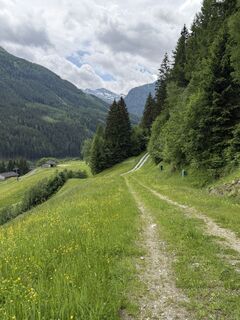 Fotografija s spletne strani Marielle van Gent-Bos na poti
