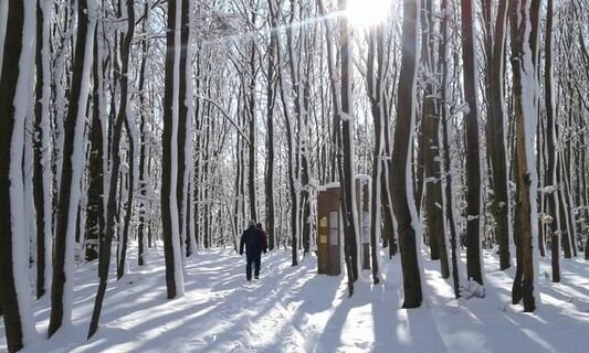 Der Wilde Weg im Winter