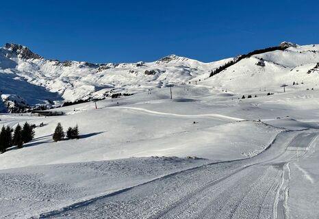 Panoramaweg Prodalp-Panüöl